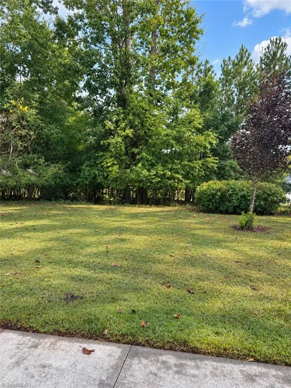 1660 Finwick Drive Pfafftown, NC 27040