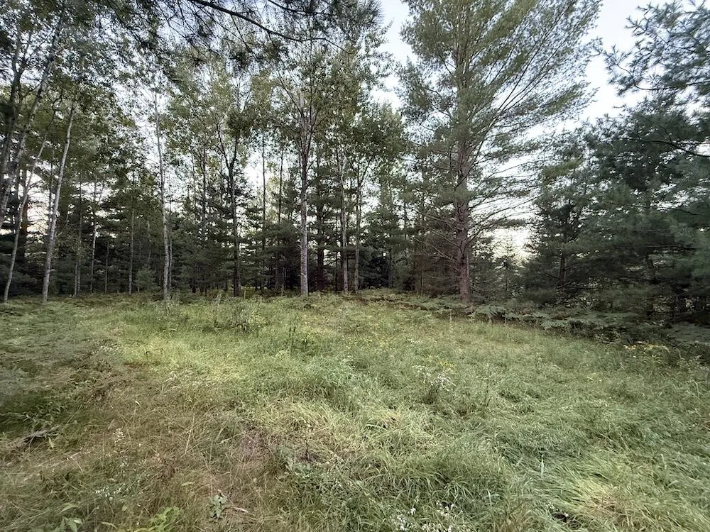 3379 Hehir Trail Grayling, MI 49738