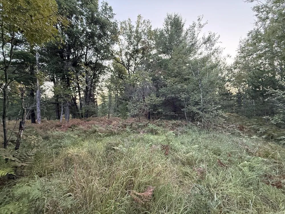 3379 Hehir Trail Grayling, MI 49738