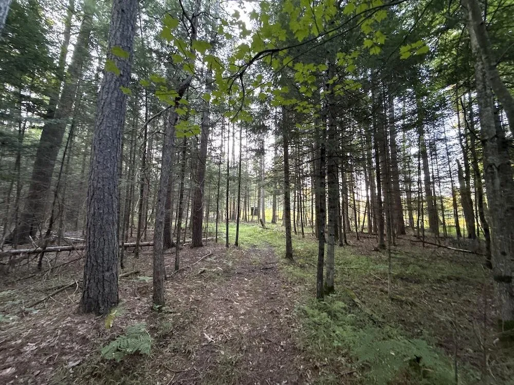 3379 Hehir Trail Grayling, MI 49738