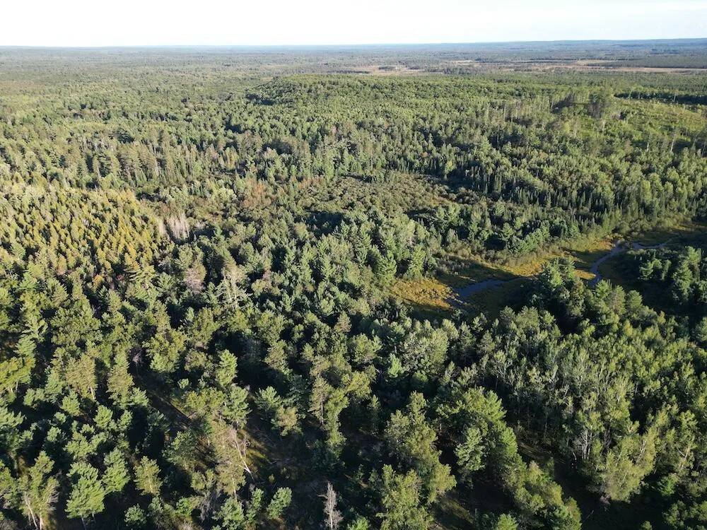 3379 Hehir Trail Grayling, MI 49738