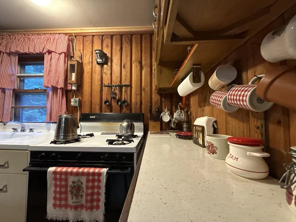 3379 Hehir Trail Grayling, MI 49738
