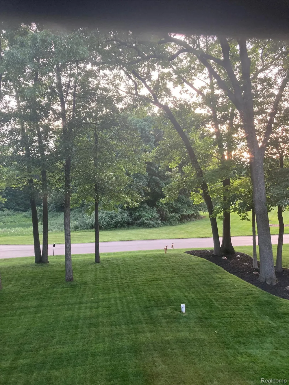 11246 Honeysuckle Court Tyrone Township, MI 48430