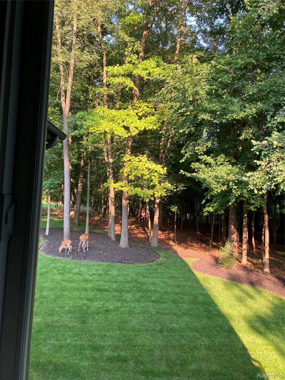 11246 Honeysuckle Court Tyrone Township, MI 48430