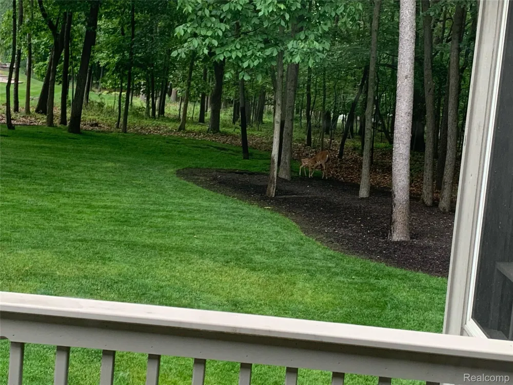 11246 Honeysuckle Court Tyrone Township, MI 48430