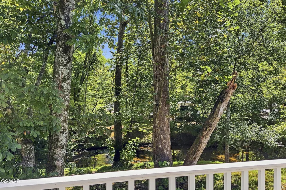 2032 Slippery Rock Circle Pigeon Forge, TN 37862