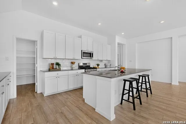14026 ROLLER MLS San Antonio, TX 78245