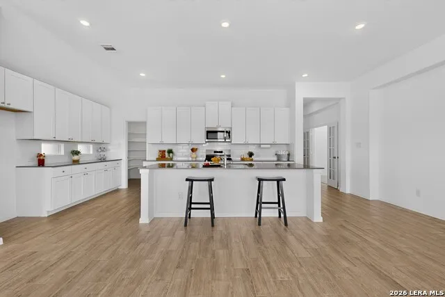 14026 ROLLER MLS San Antonio, TX 78245