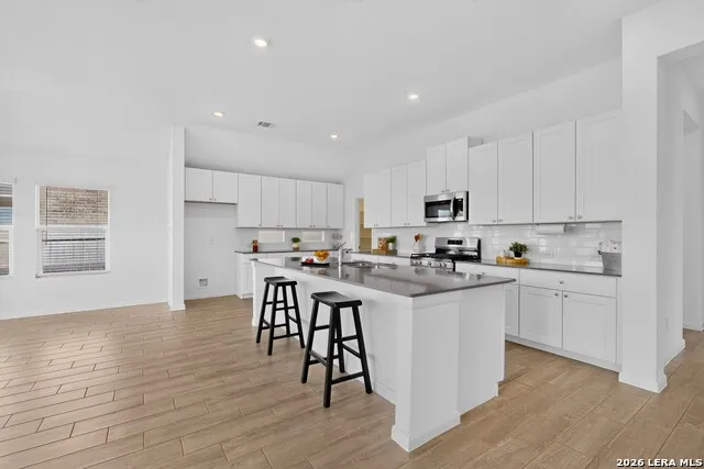 14026 ROLLER MLS San Antonio, TX 78245