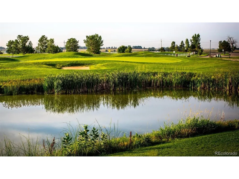 1634 Wagonwheel Drive Fort Lupton, CO 80621