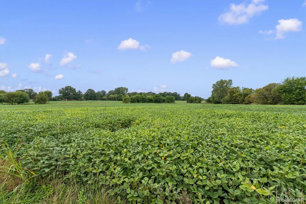 3553 State Road New Haven Township, MI 48867