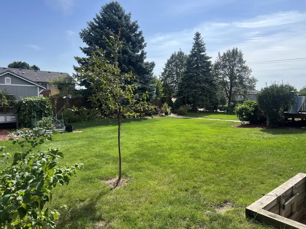 825 S Hubbard Avenue Litchfield, MN 55355