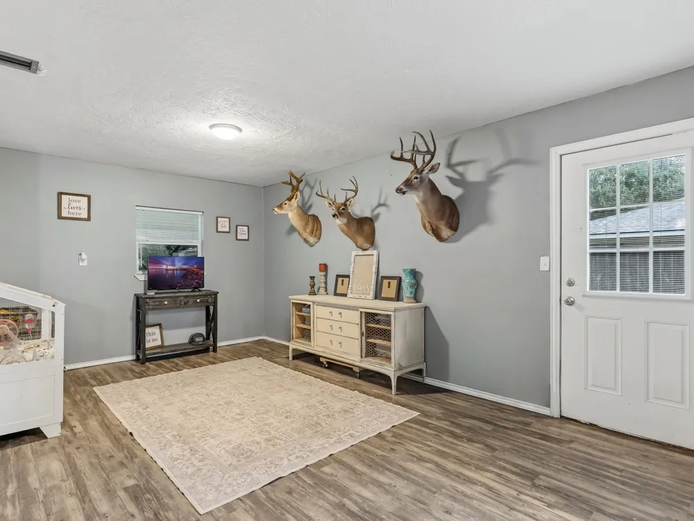 15589 San Jacinto Street Hamshire, TX 77622