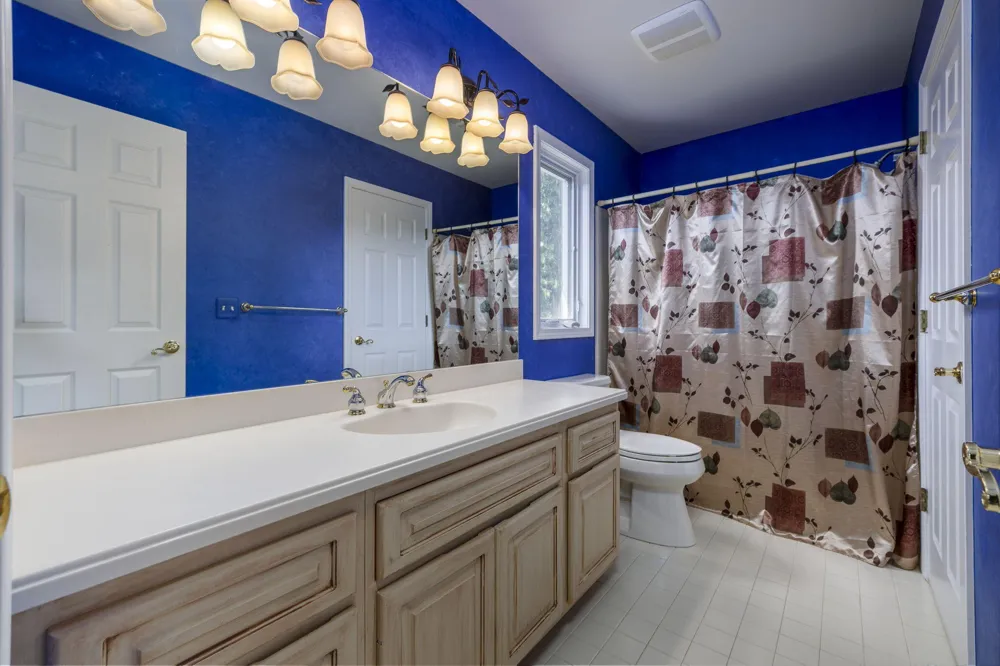 3972 Greenwood Street Rochester Hills City, MI 48309