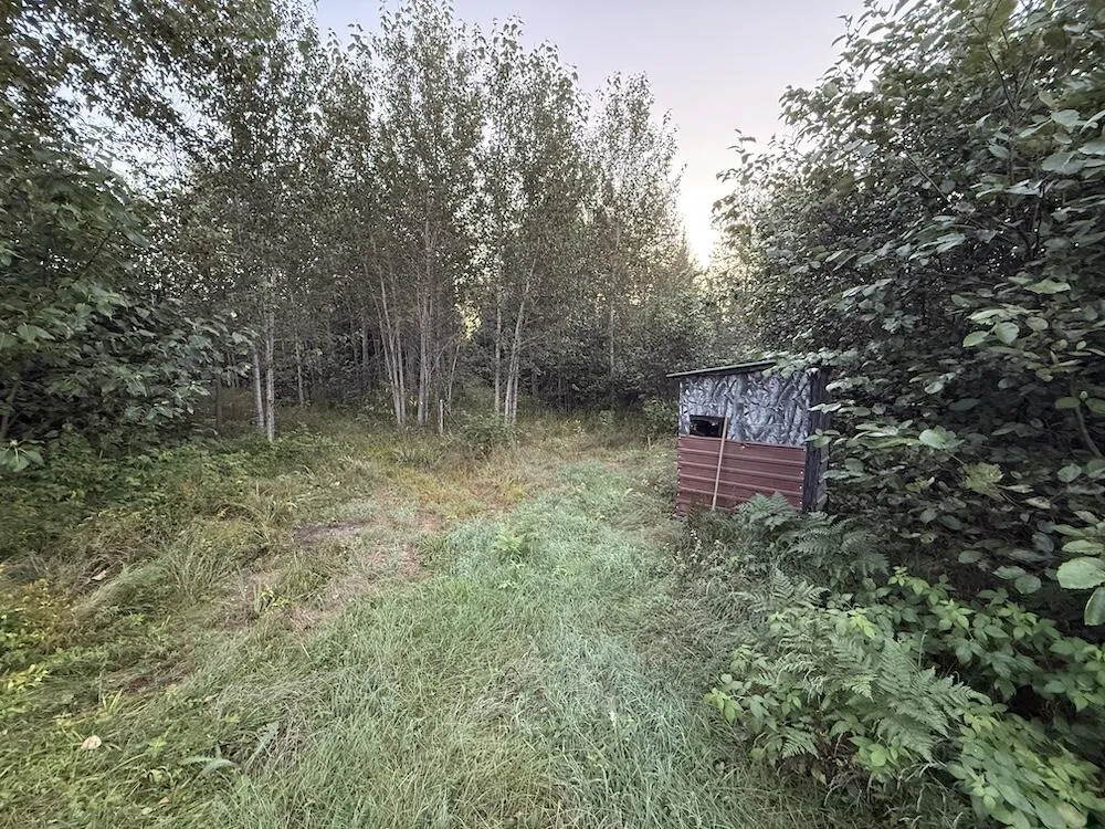 3379 Hehir Trail Lovells Township, MI 49738
