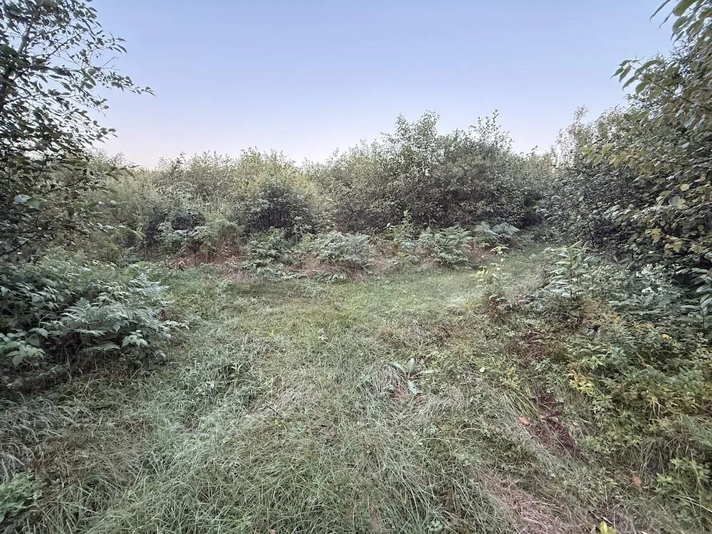 3379 Hehir Trail Lovells Township, MI 49738