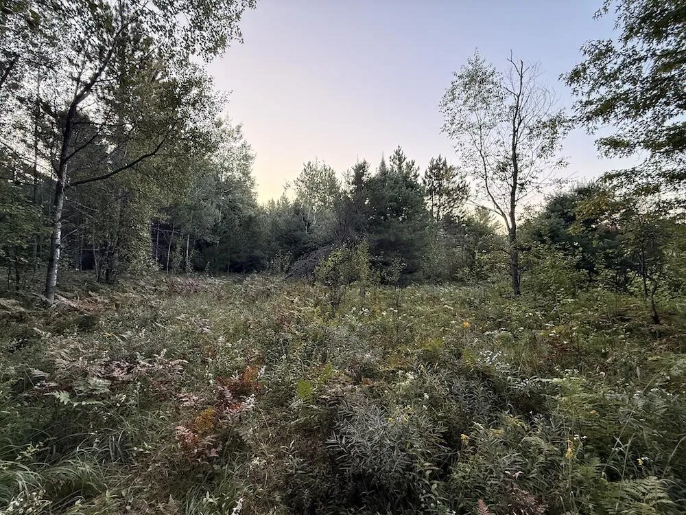 3379 Hehir Trail Lovells Township, MI 49738