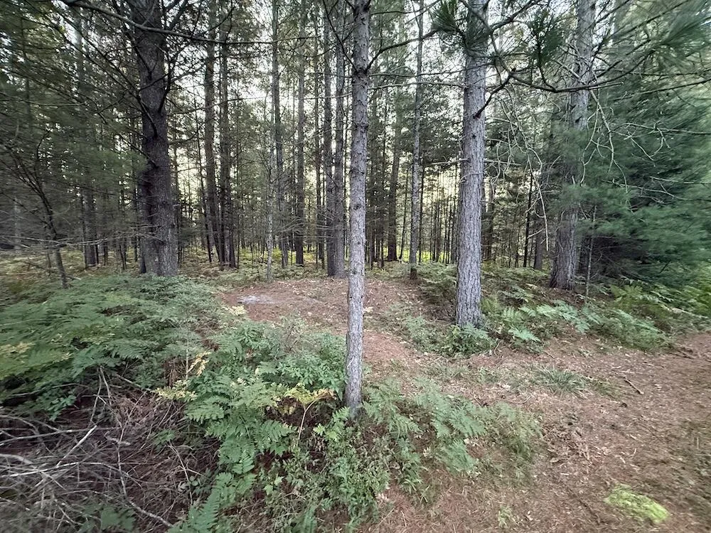 3379 Hehir Trail Lovells Township, MI 49738