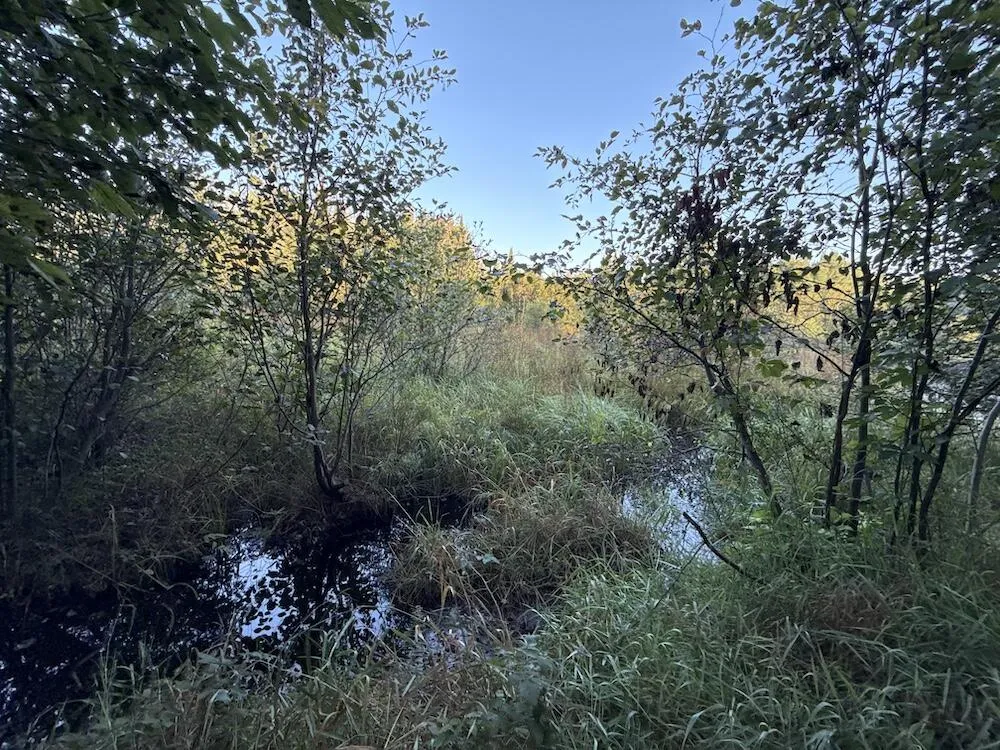 3379 Hehir Trail Lovells Township, MI 49738