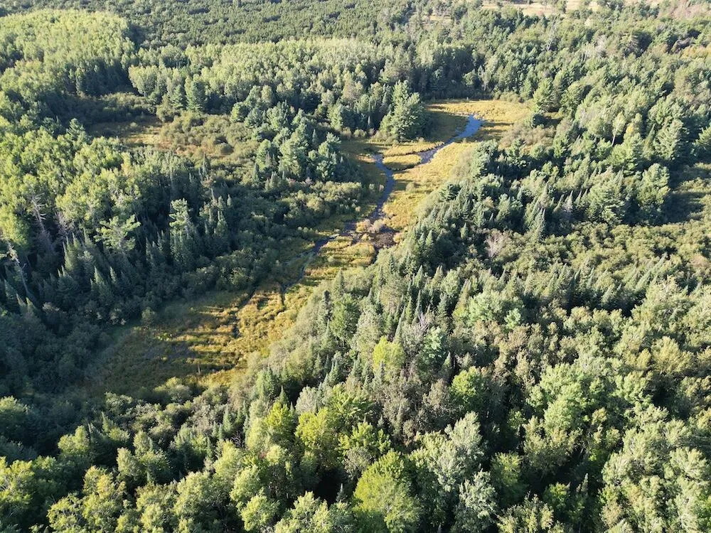 3379 Hehir Trail Lovells Township, MI 49738