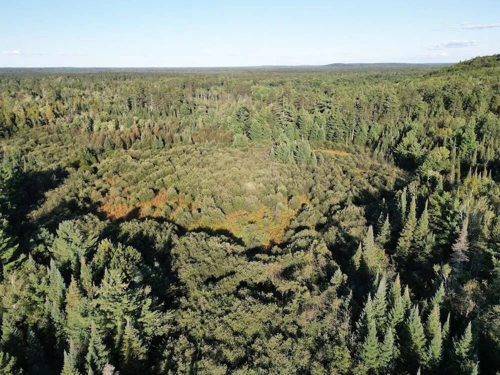 3379 Hehir Trail Lovells Township, MI 49738