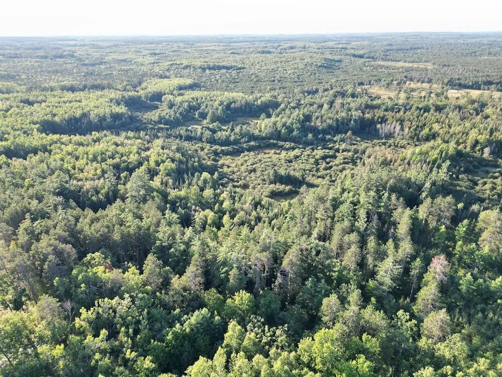 3379 Hehir Trail Lovells Township, MI 49738