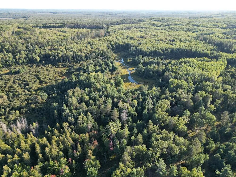 3379 Hehir Trail Lovells Township, MI 49738
