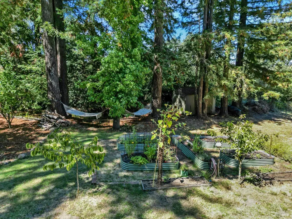 9787 Mill Station Road Sebastopol, CA 95472