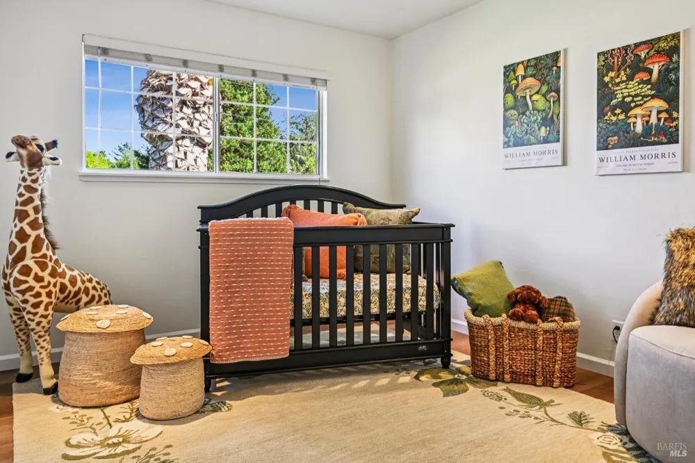 1459 Jahn Drive Santa Rosa, CA 95401