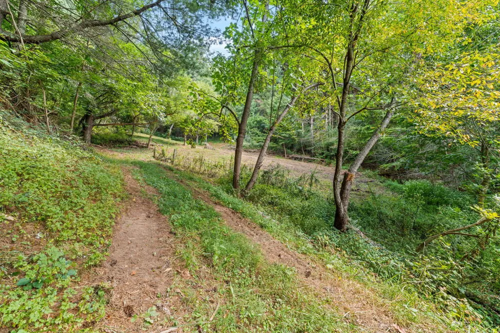 Crabtree Mountain Road Clyde, NC 28721