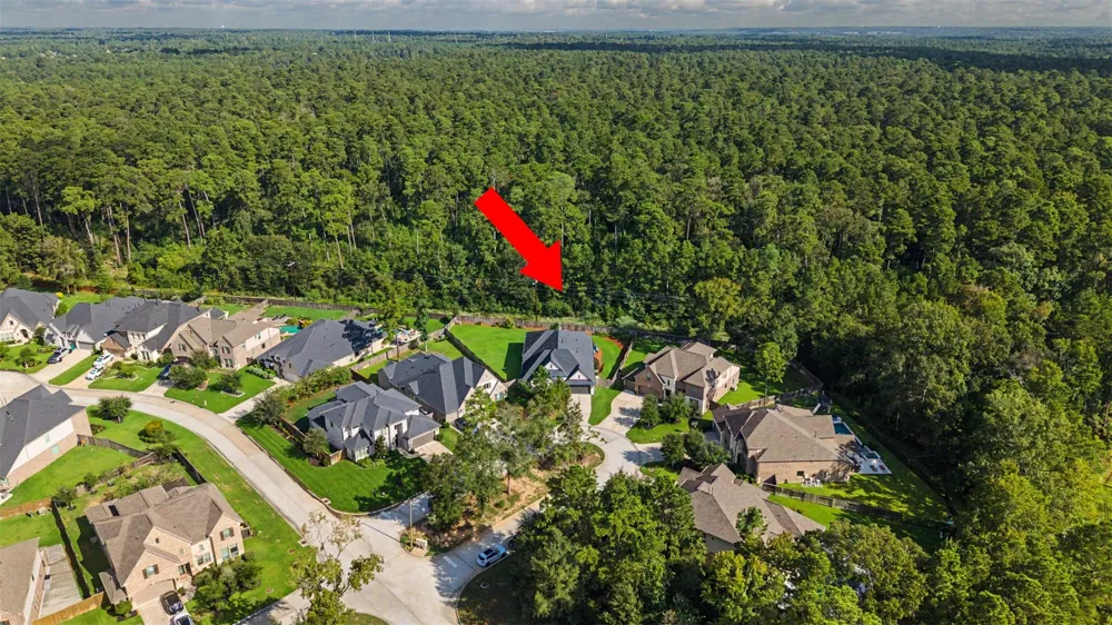 313 Lane Landing Place Montgomery, TX 77316