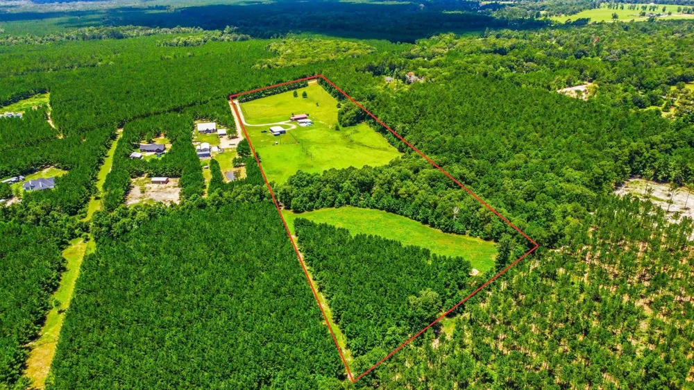 671 Tram Road Livingston, TX 77351