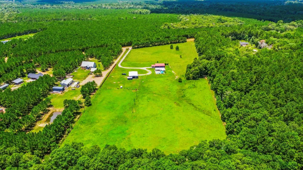 671 Tram Road Livingston, TX 77351