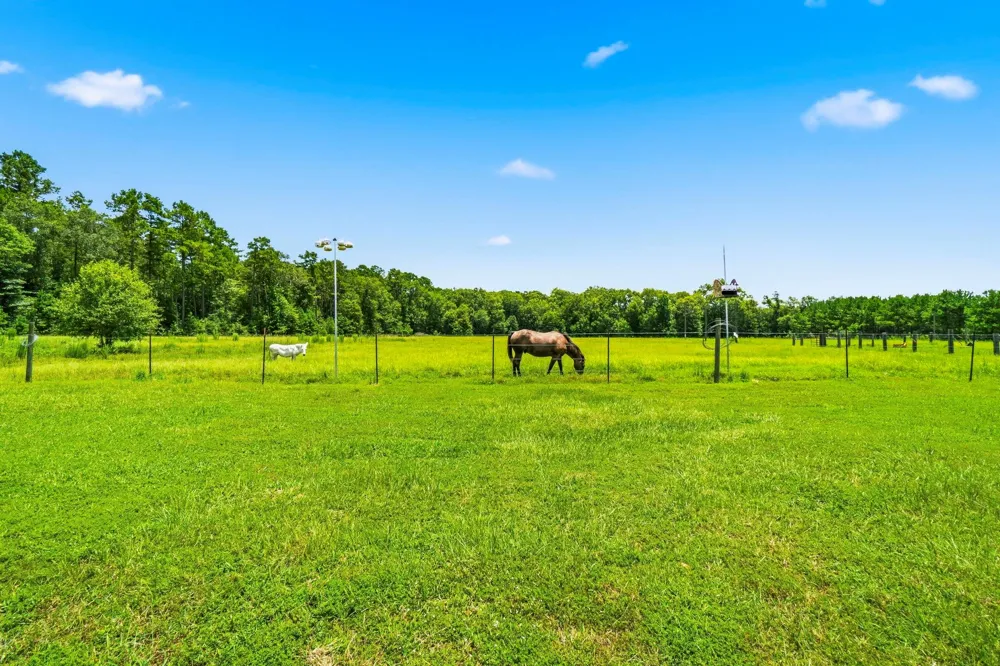 671 Tram Road Livingston, TX 77351