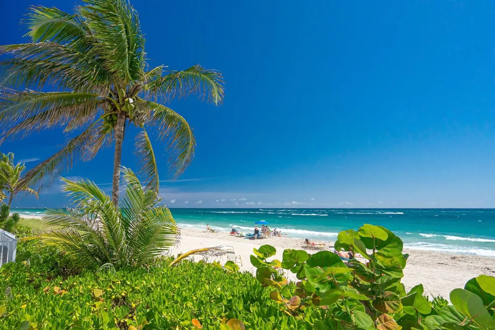 4250 GALT OCEAN DRIVE #8L Fort Lauderdale, FL 33308