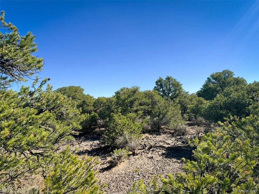 00 Overland Way San Luis, CO 81152