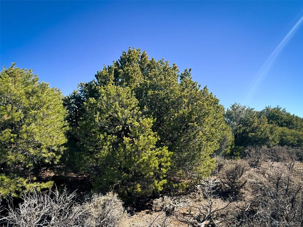 00 Overland Way San Luis, CO 81152