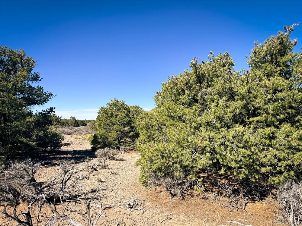 00 Overland Way San Luis, CO 81152