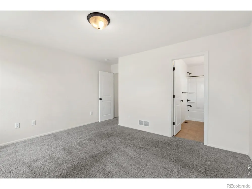 1723 Thrive Drive Windsor, CO 80550