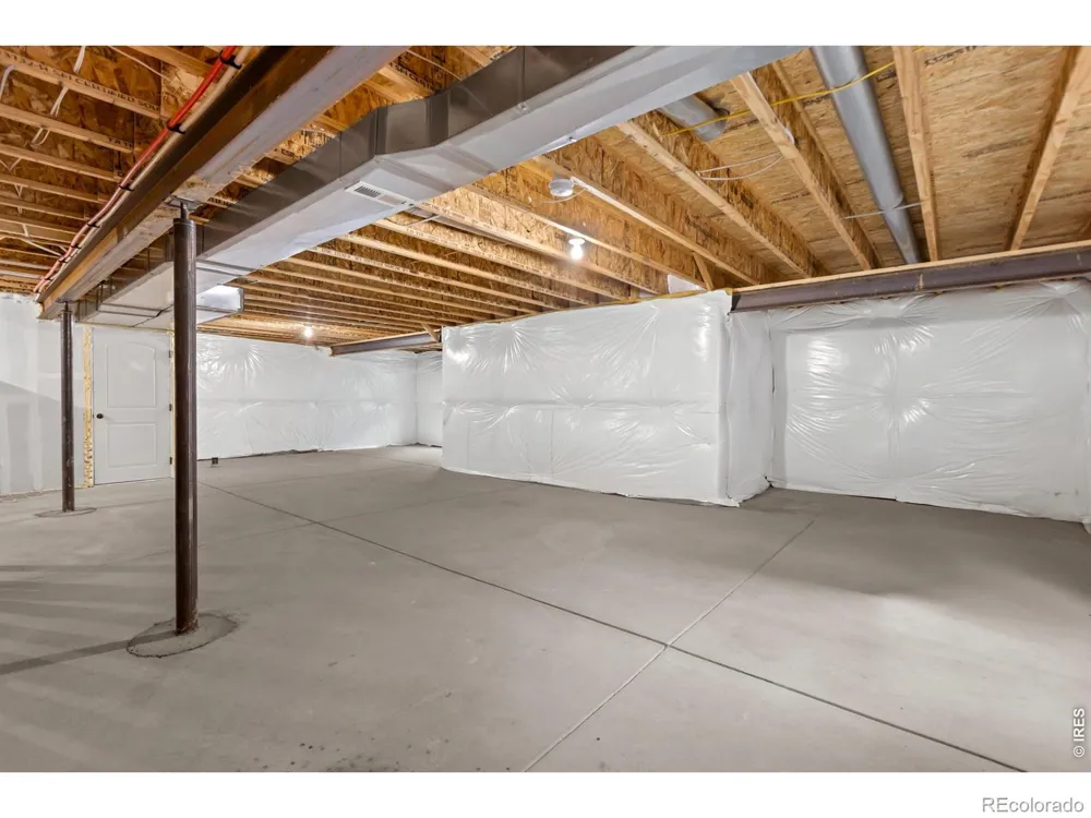 1723 Thrive Drive Windsor, CO 80550