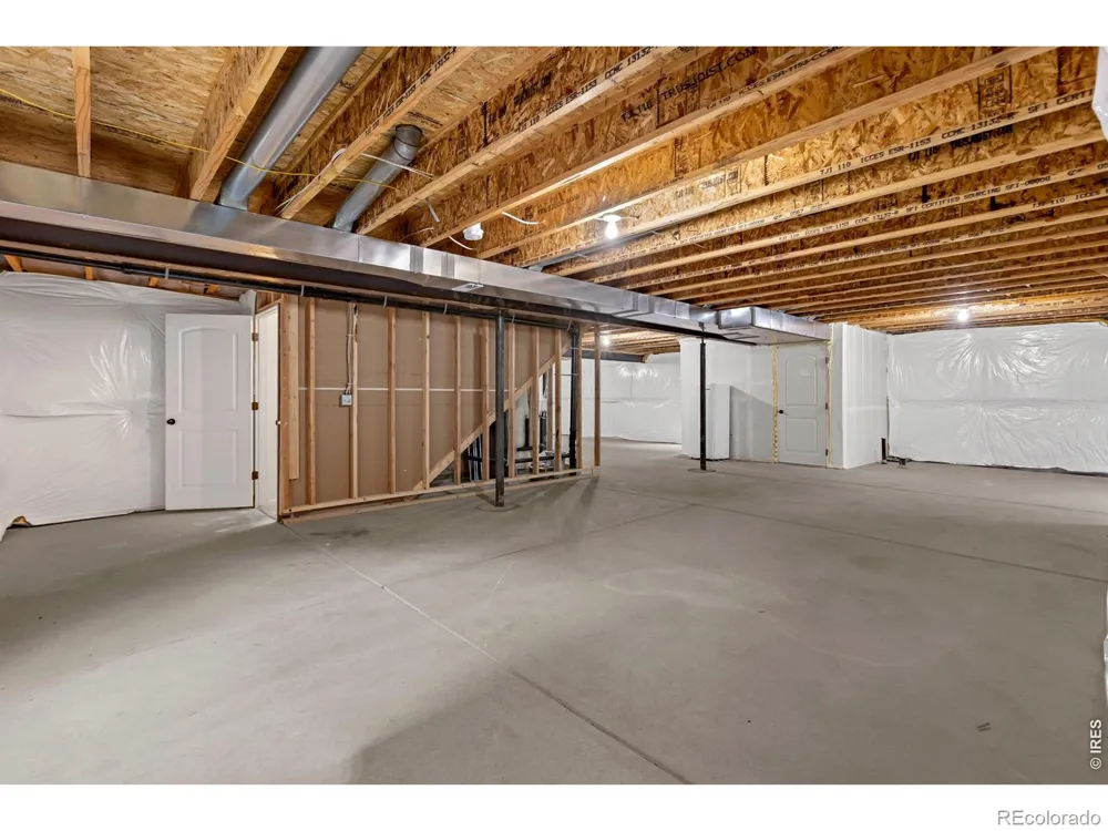 1723 Thrive Drive Windsor, CO 80550