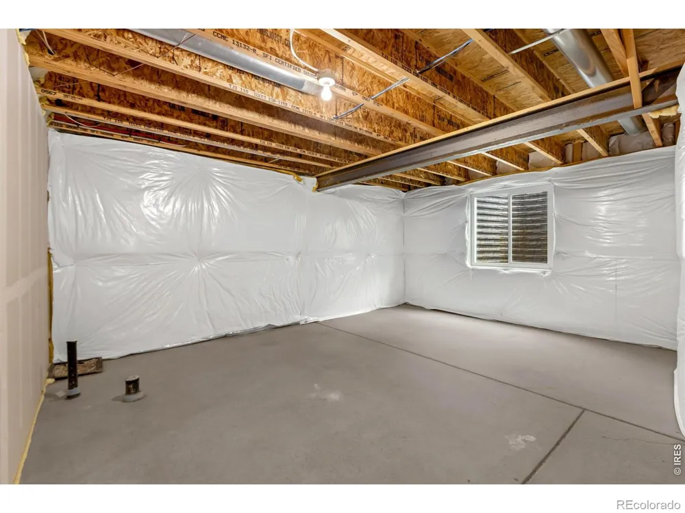 1723 Thrive Drive Windsor, CO 80550