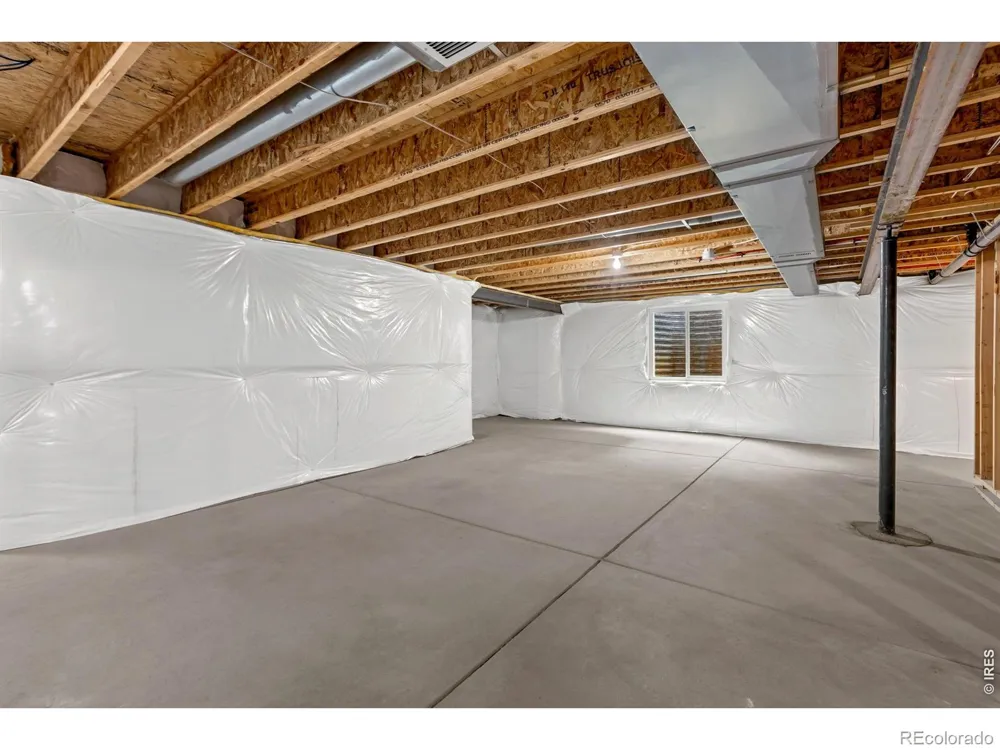 1723 Thrive Drive Windsor, CO 80550