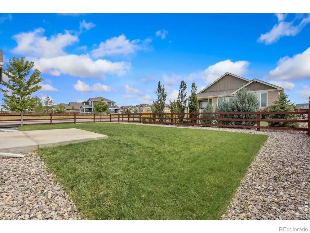 1723 Thrive Drive Windsor, CO 80550