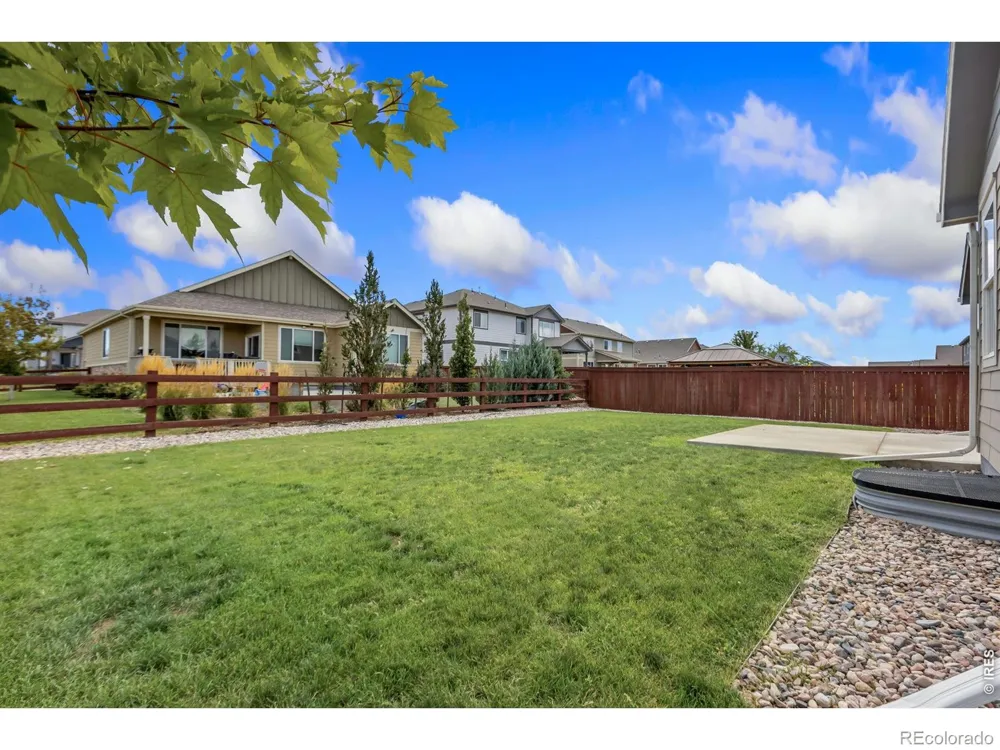1723 Thrive Drive Windsor, CO 80550