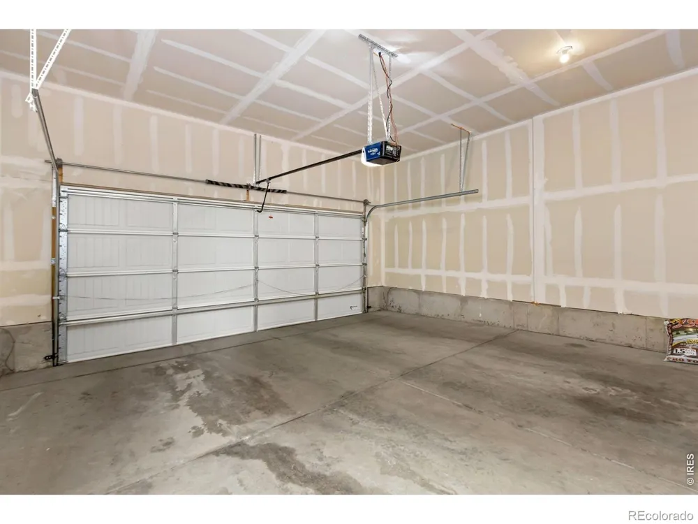 1723 Thrive Drive Windsor, CO 80550
