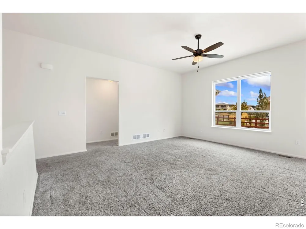 1723 Thrive Drive Windsor, CO 80550