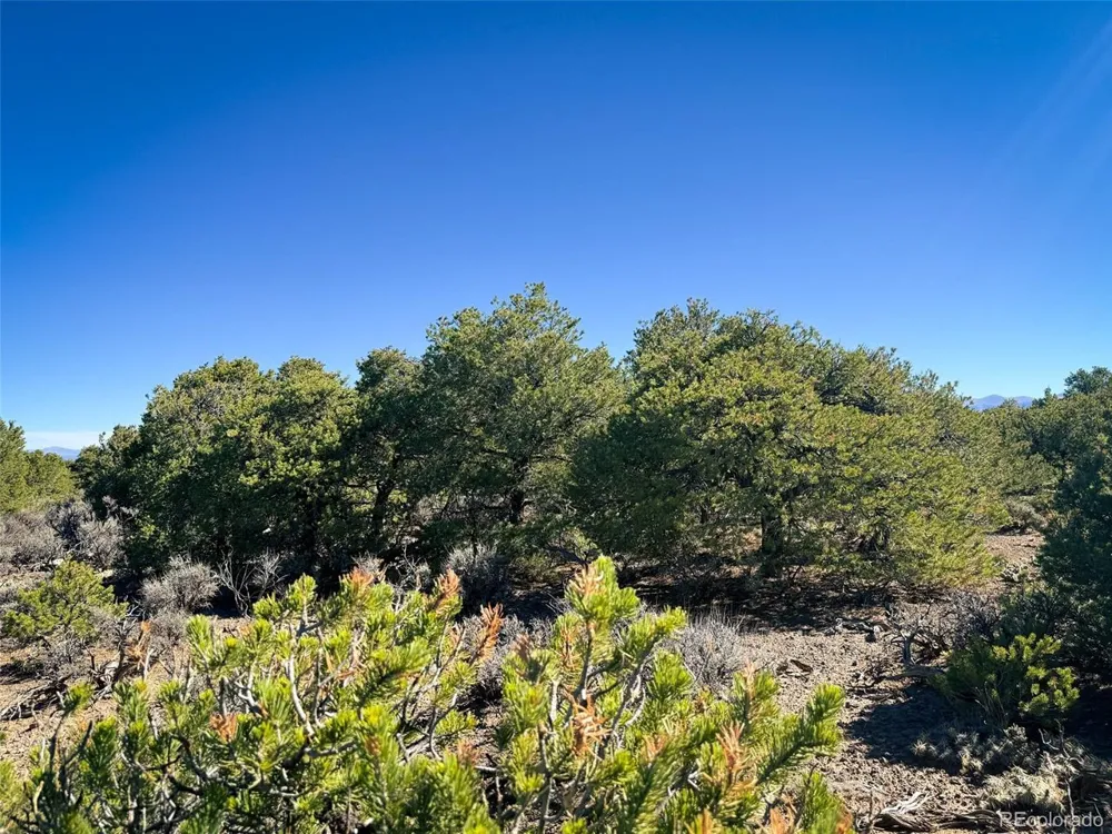 0 Overland Way San Luis, CO 81152