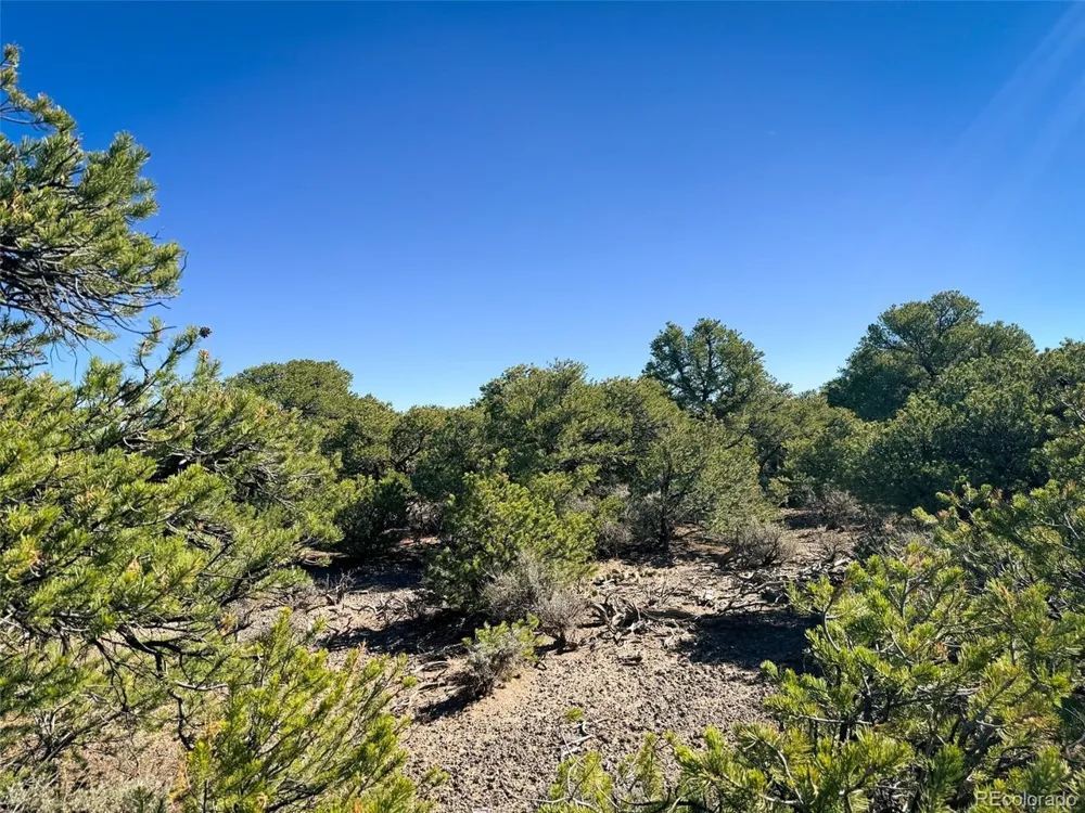 0 Overland Way San Luis, CO 81152
