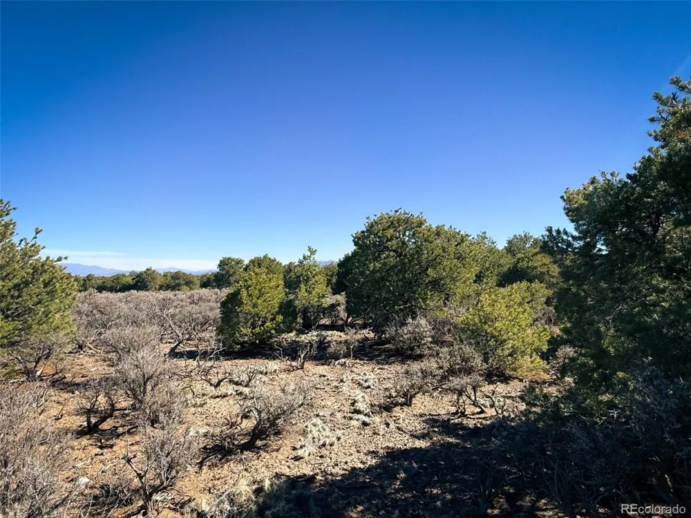 0 Overland Way San Luis, CO 81152